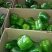 精品圆椒大量供应中对接市场档口商超一条龙服务欢迎来电咨询
