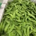 台中604荷兰豆种子早中熟蔓生分枝强荚长月牙形高产抗病