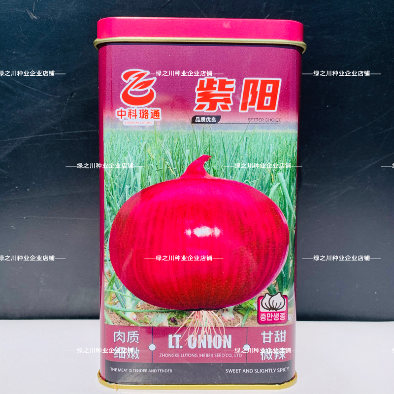 紫阳洋葱种子甜脆微辣扁圆葱种籽甘甜肉嫩半高桩紫皮洋葱种籽