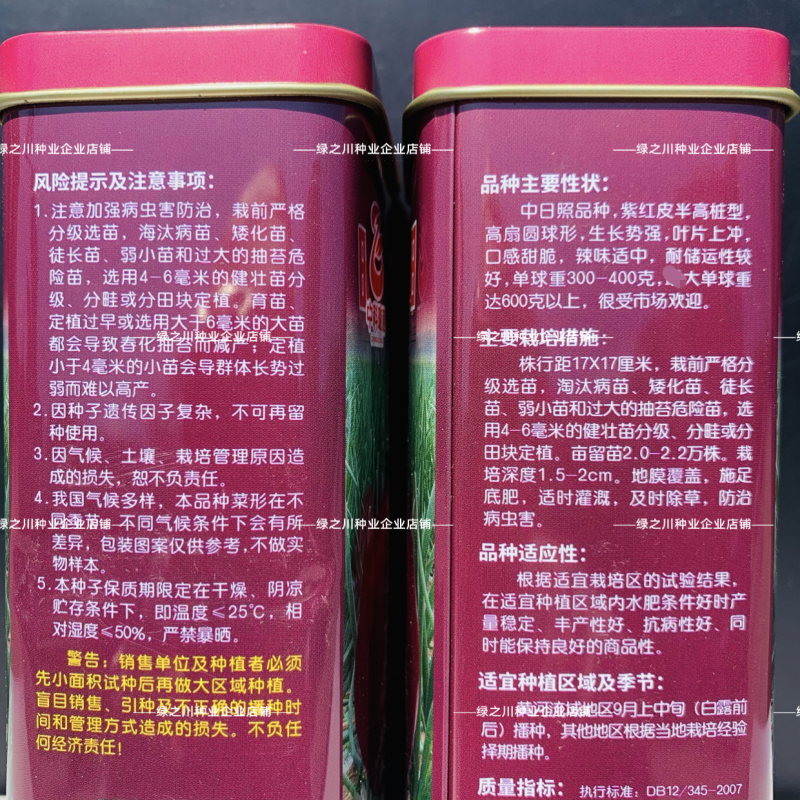 紫阳洋葱种子甜脆微辣扁圆葱种籽甘甜肉嫩半高桩紫皮洋葱种籽