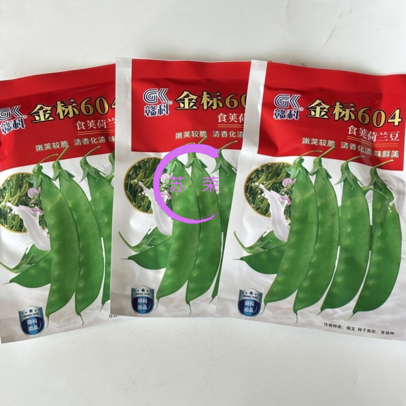 赣科金标604食荚荷兰豆种子清香脆嫩高产耐寒抗病商品