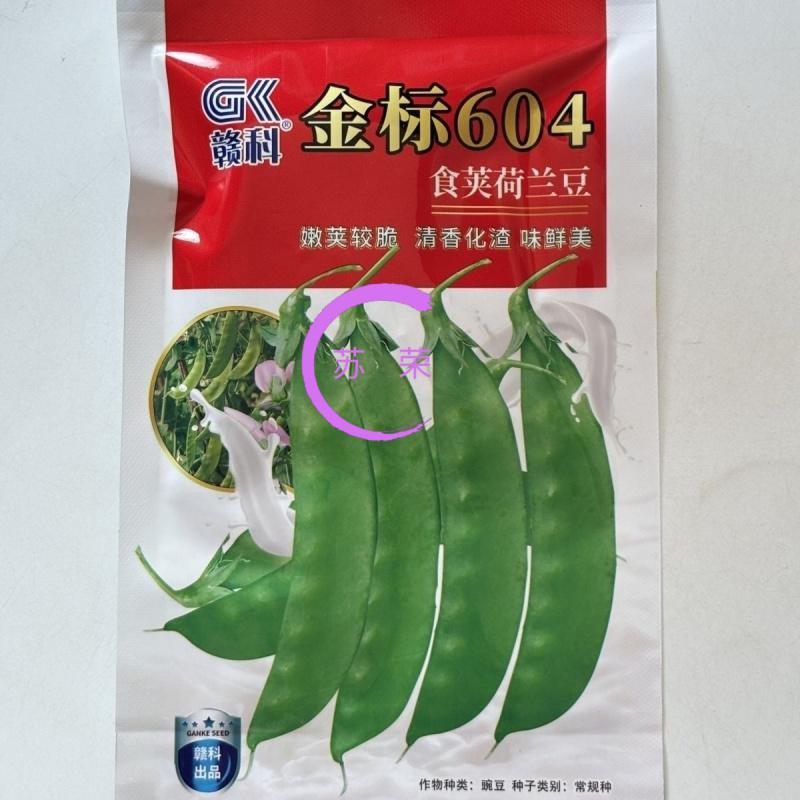 赣科金标604食荚荷兰豆种子清香脆嫩高产耐寒抗病商品