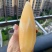 云南高原雪莲果/云南雪莲果产地直供质量保证对接全国