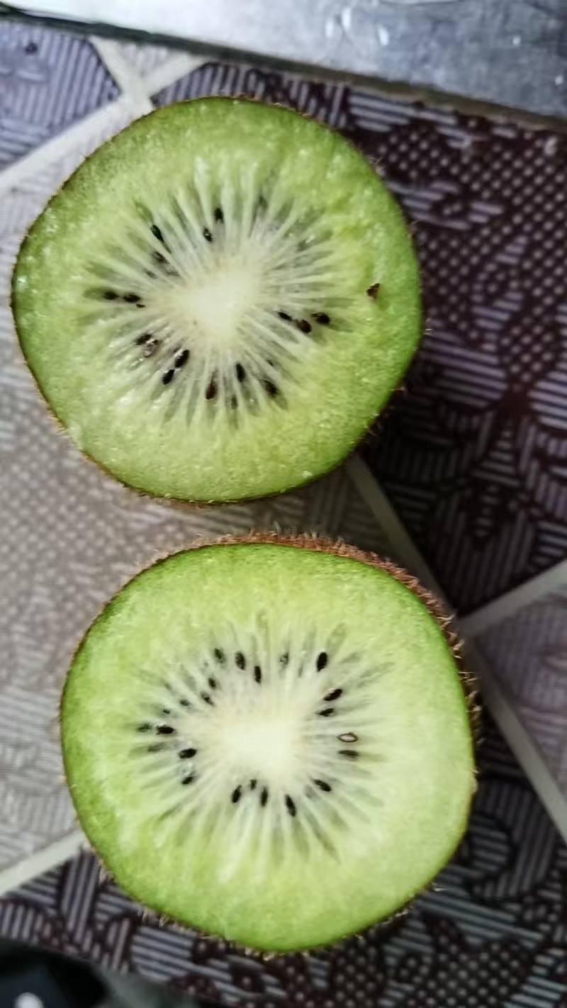 精品猕猴桃，米良一号，一手货源，诚信经营