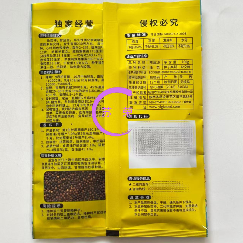 陕油19杂交油菜种子种籽油菜花籽种耐寒高产榨油可机收