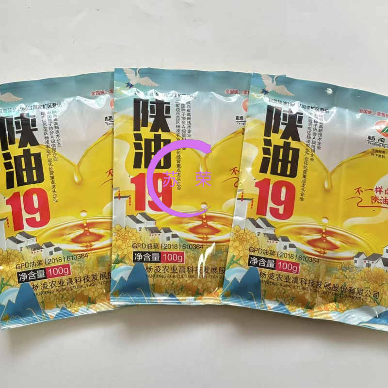 陕油19杂交油菜种子种籽油菜花籽种耐寒高产榨油可机收