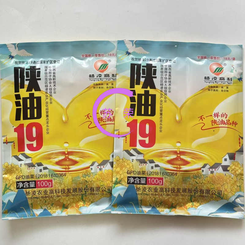 陕油19杂交油菜种子种籽油菜花籽种耐寒高产榨油可机收
