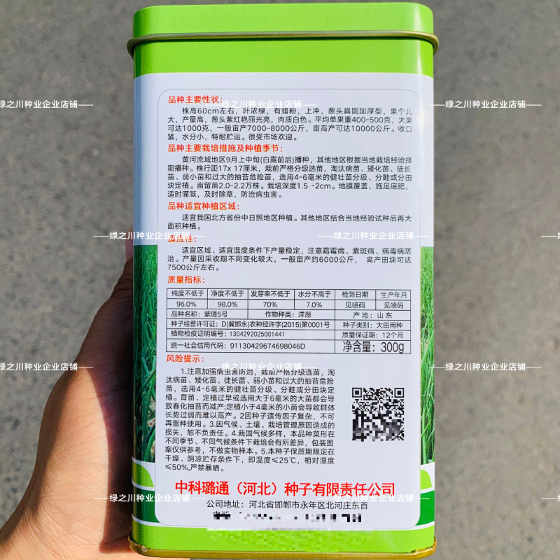 紫璐5号洋葱种子紫红皮洋葱籽抗病圆葱加厚型扁圆洋葱种籽
