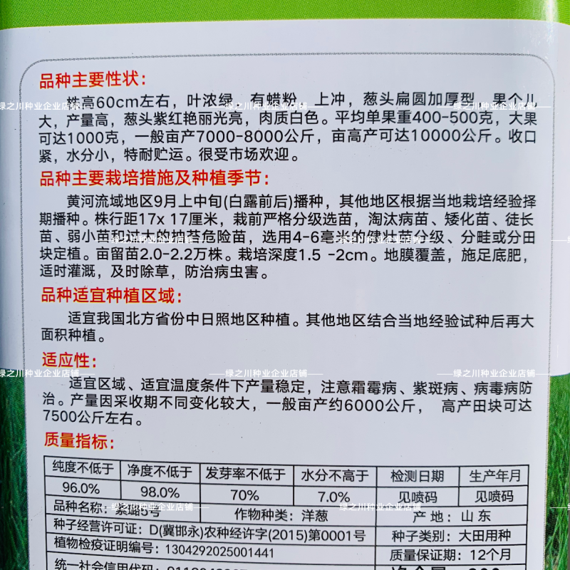 紫璐5号洋葱种子紫红皮洋葱籽抗病圆葱加厚型扁圆洋葱种籽