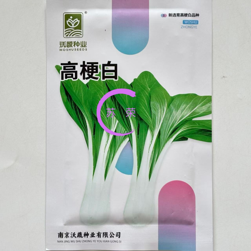 高梗白菜种子阳台庭院大田蔬菜种四季青菜种子小白菜种