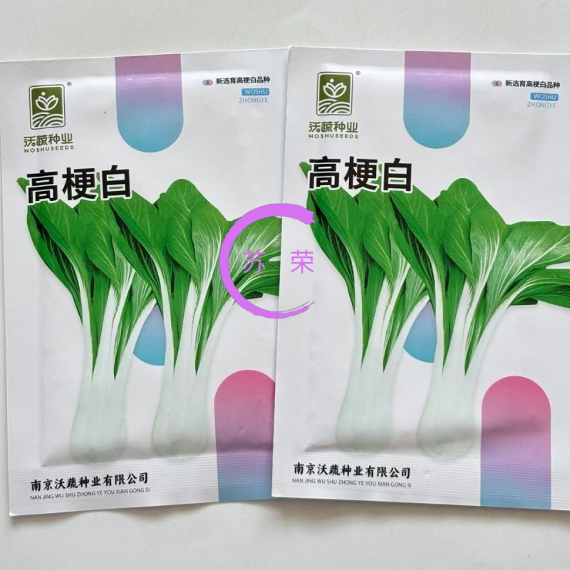 高梗白菜种子阳台庭院大田蔬菜种四季青菜种子小白菜种