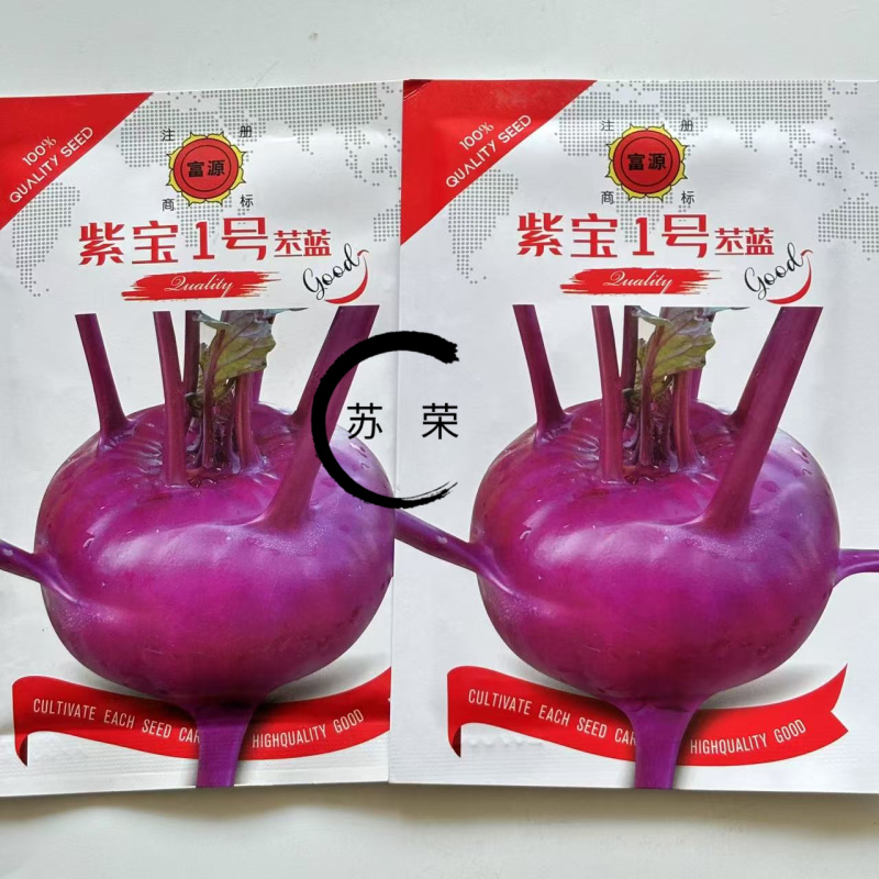 紫宝1号苤蓝种子紫苤蓝耐热耐寒耐抽苔苤兰种阳台盆栽庭院种