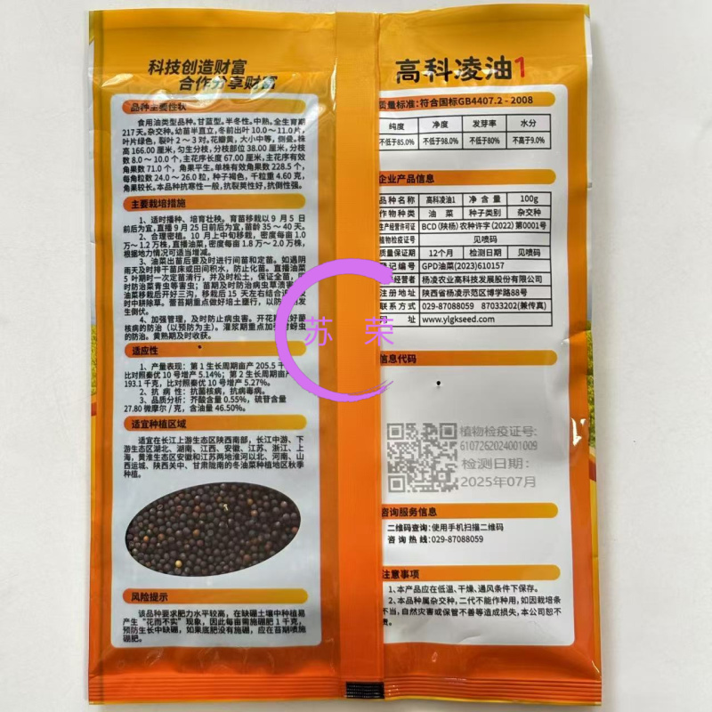 高科凌油1号油菜种子高产高油抗倒伏抗病油菜籽种子大田基地