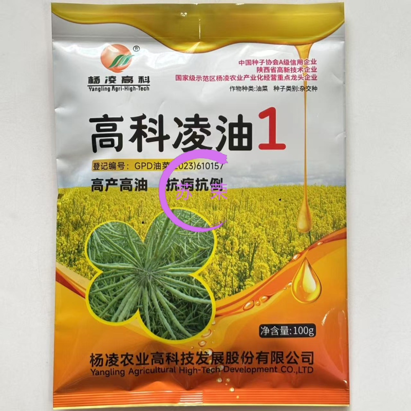 高科凌油1号油菜种子高产高油抗倒伏抗病油菜籽种子大田基地