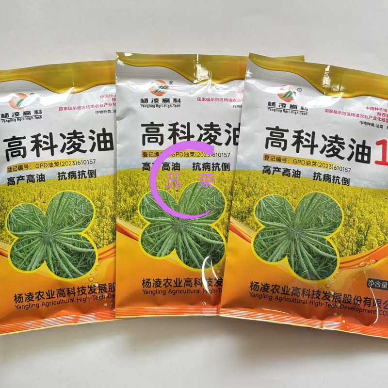 高科凌油1号油菜种子高产高油抗倒伏抗病油菜籽种子大田基地
