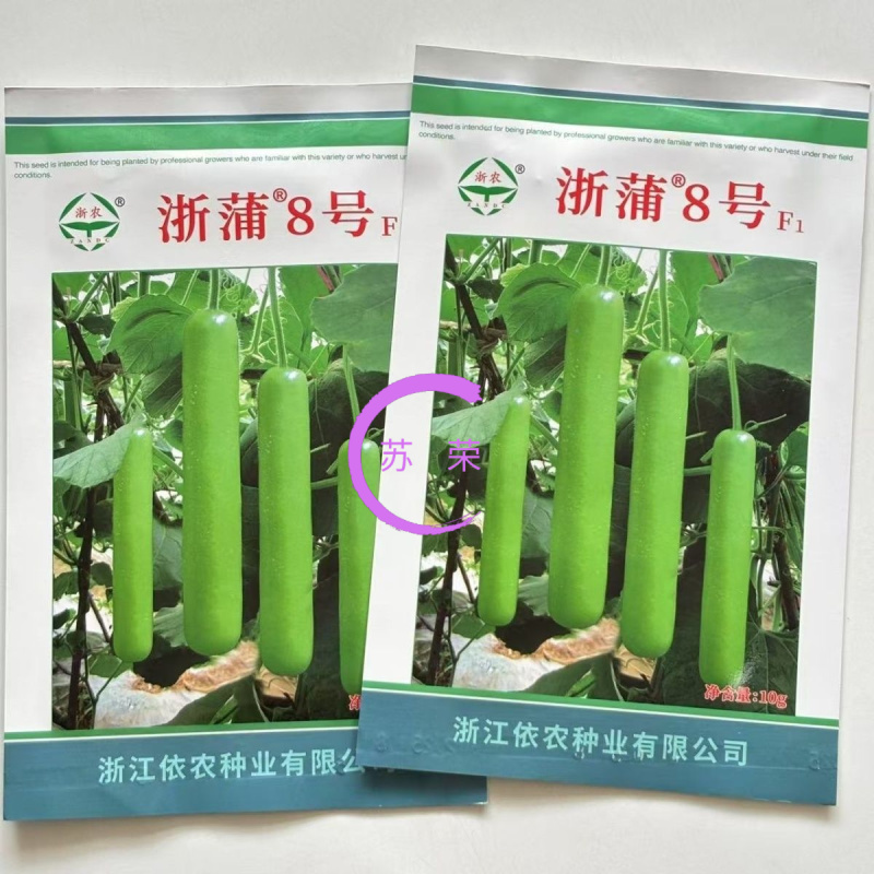 浙浦8号瓠瓜种子早中熟杂交一代瓜皮绿色长棒型蒲瓜种子春秋
