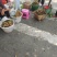 莆田华亭龙眼