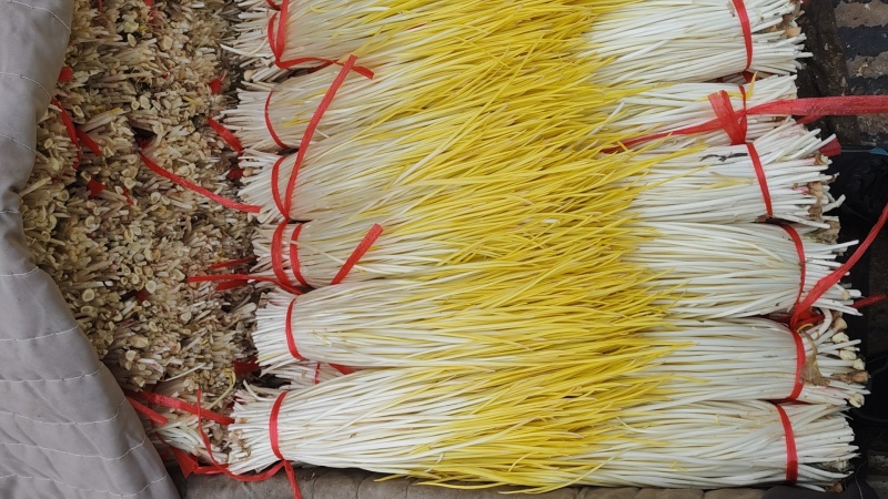 平邑精品蒜黄大量上市