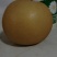 秋月梨新品上市，货源充足，诚邀老板看货订购