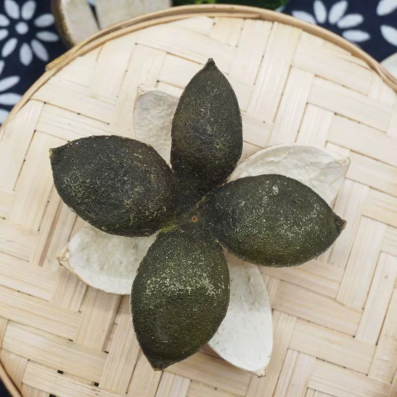 青皮中药材