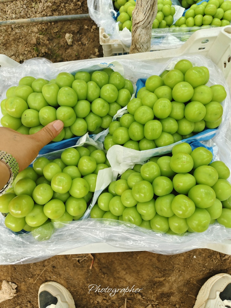适合存库的产品