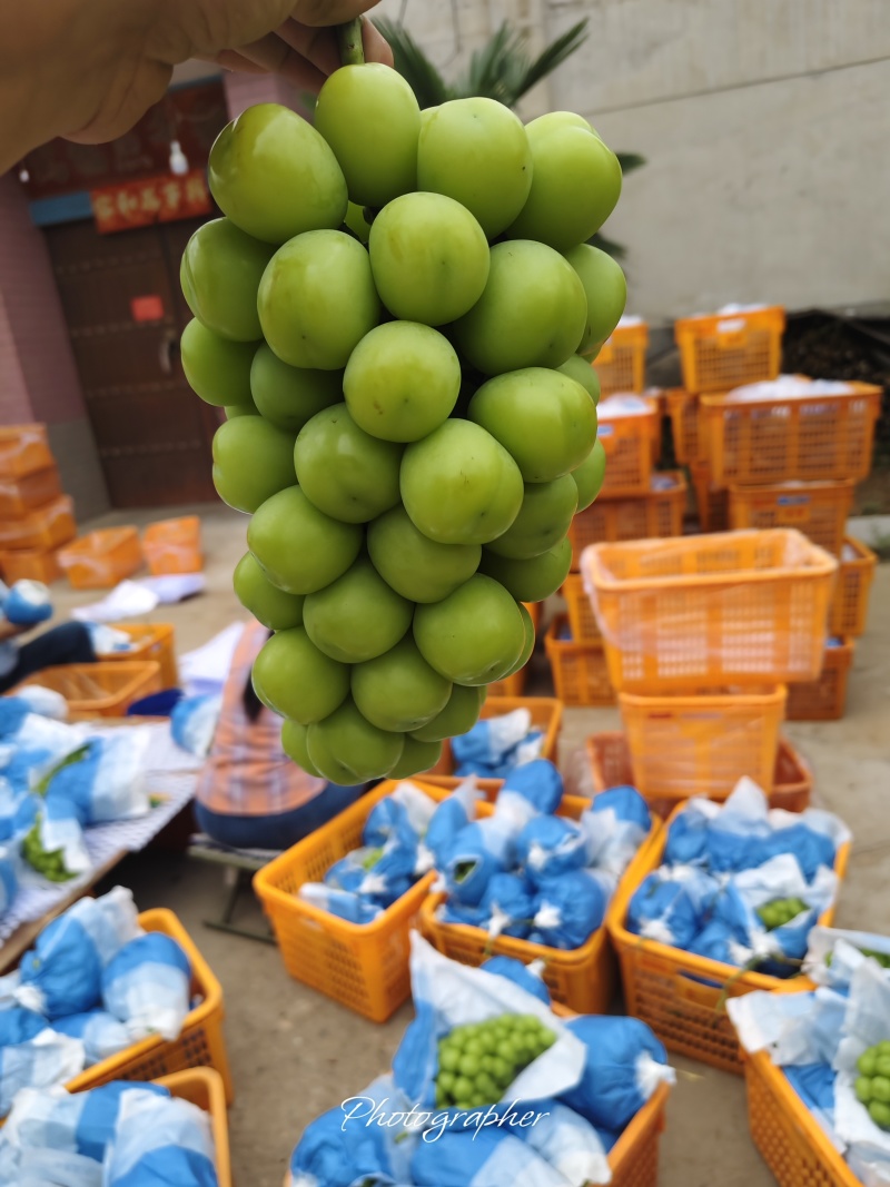 精品货大量有