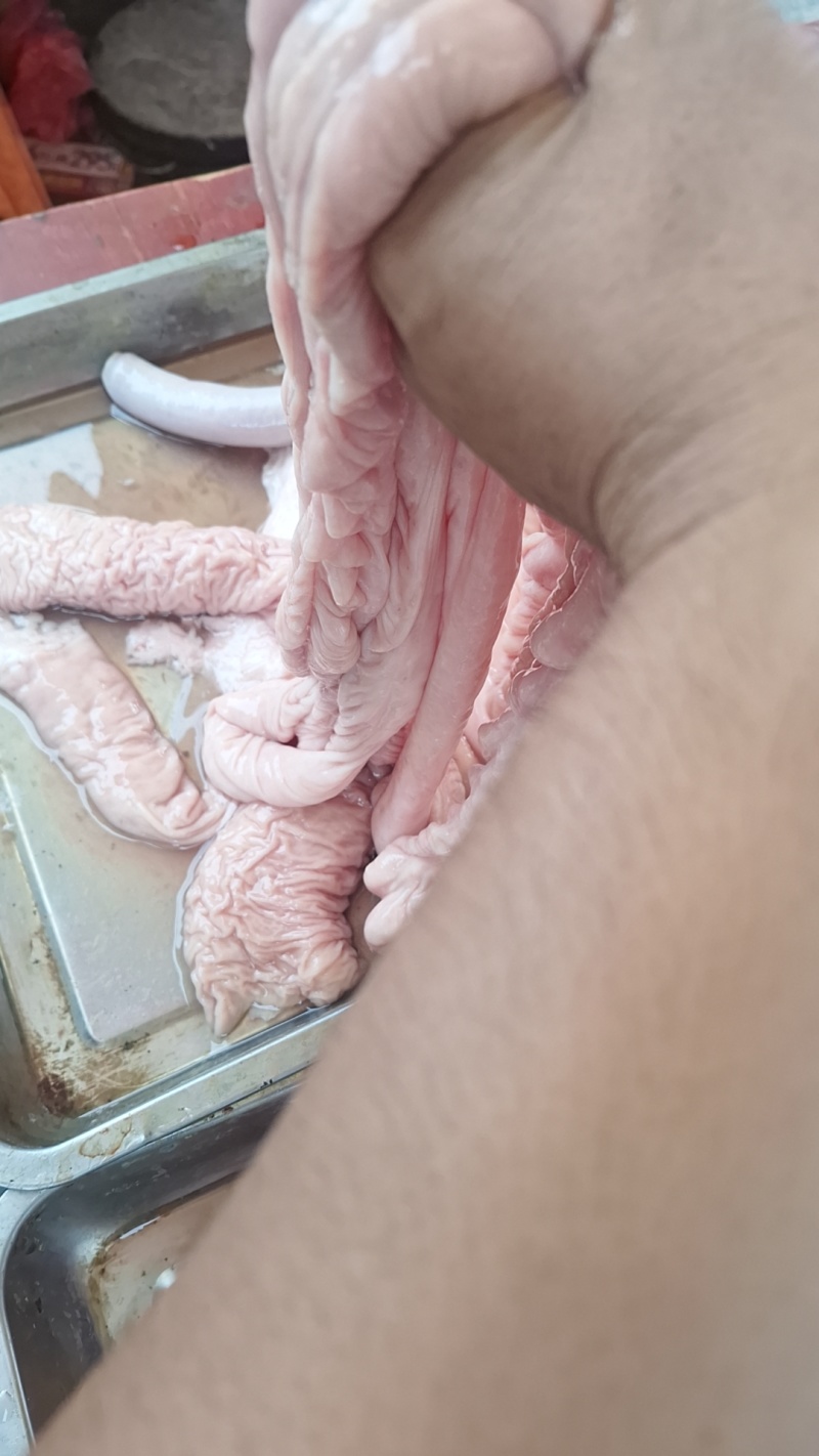 猪大肠不打水干货，每天现杀新鲜货。