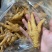 虎皮凤爪炸凤爪半成品大号中号出成高品质好