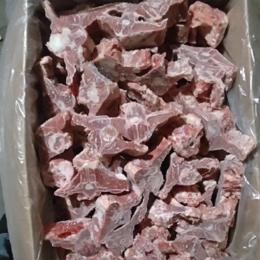 加肥羊蝎子实拍，带肉确实多