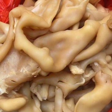 羊脸皮
