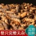 蝼蛄中药材土狗正品保证纯野生批发零售规格齐全