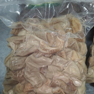 牛小肠段