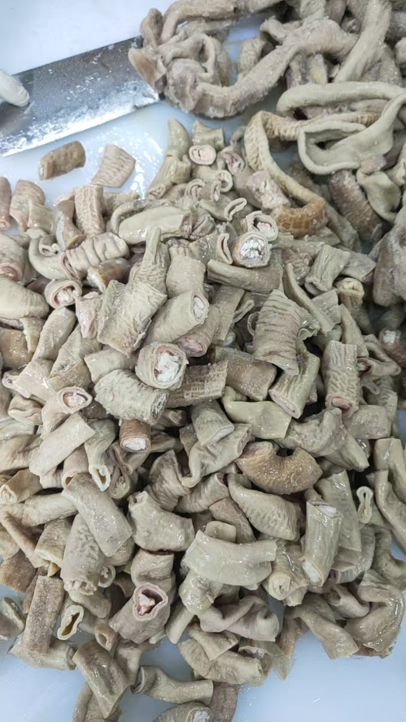 牛小肠段