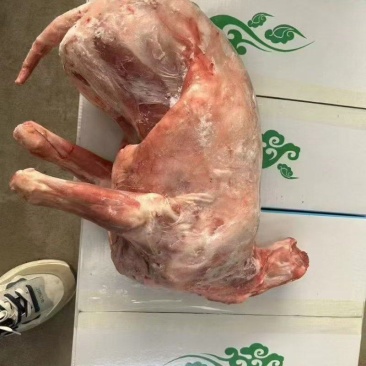 卧式羊，羊筒体