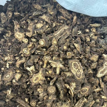 羌活中药材原产地直发品质保证欢迎咨询电联