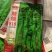 云南精品辣椒苗批发、零售、欢迎各位老板来电订购、