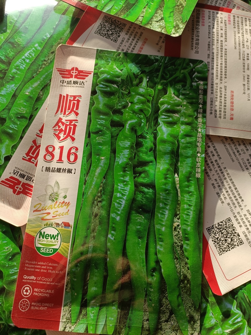 云南精品辣椒苗批发、零售、欢迎各位老板来电订购、