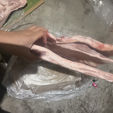 肥猪带皮前上肉3-5片