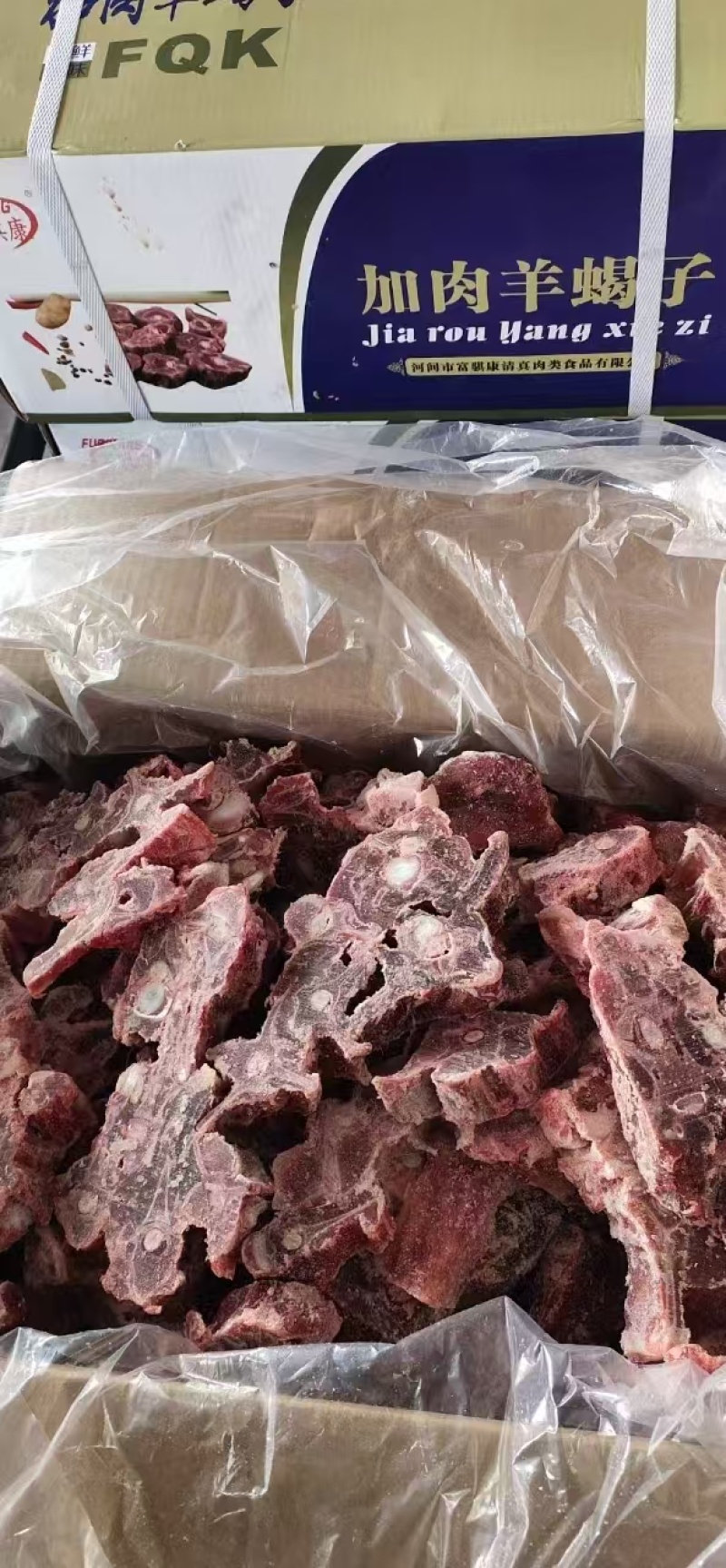 多肉羊蝎子