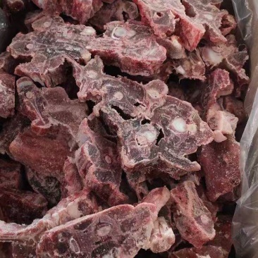 多肉羊蝎子