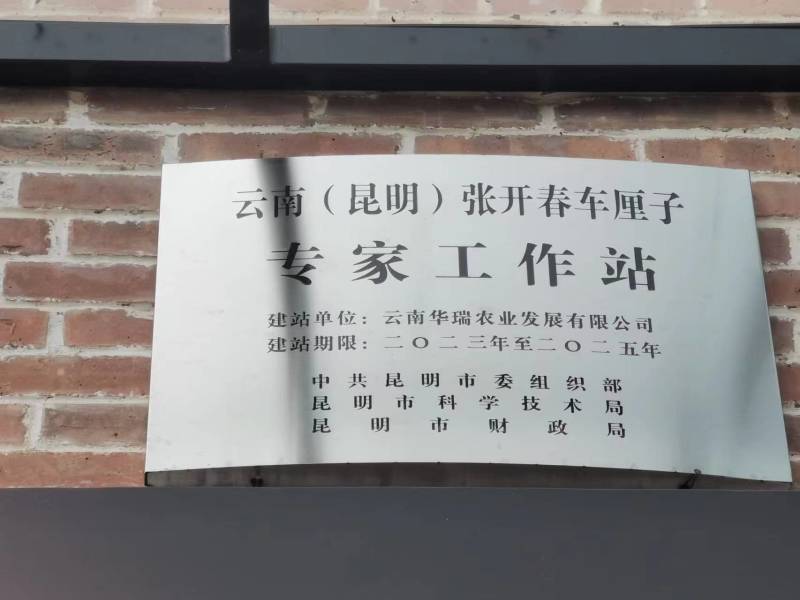【推荐】桑缇娜拉宾斯奥红美早俄八