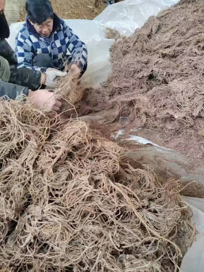 土牛膝