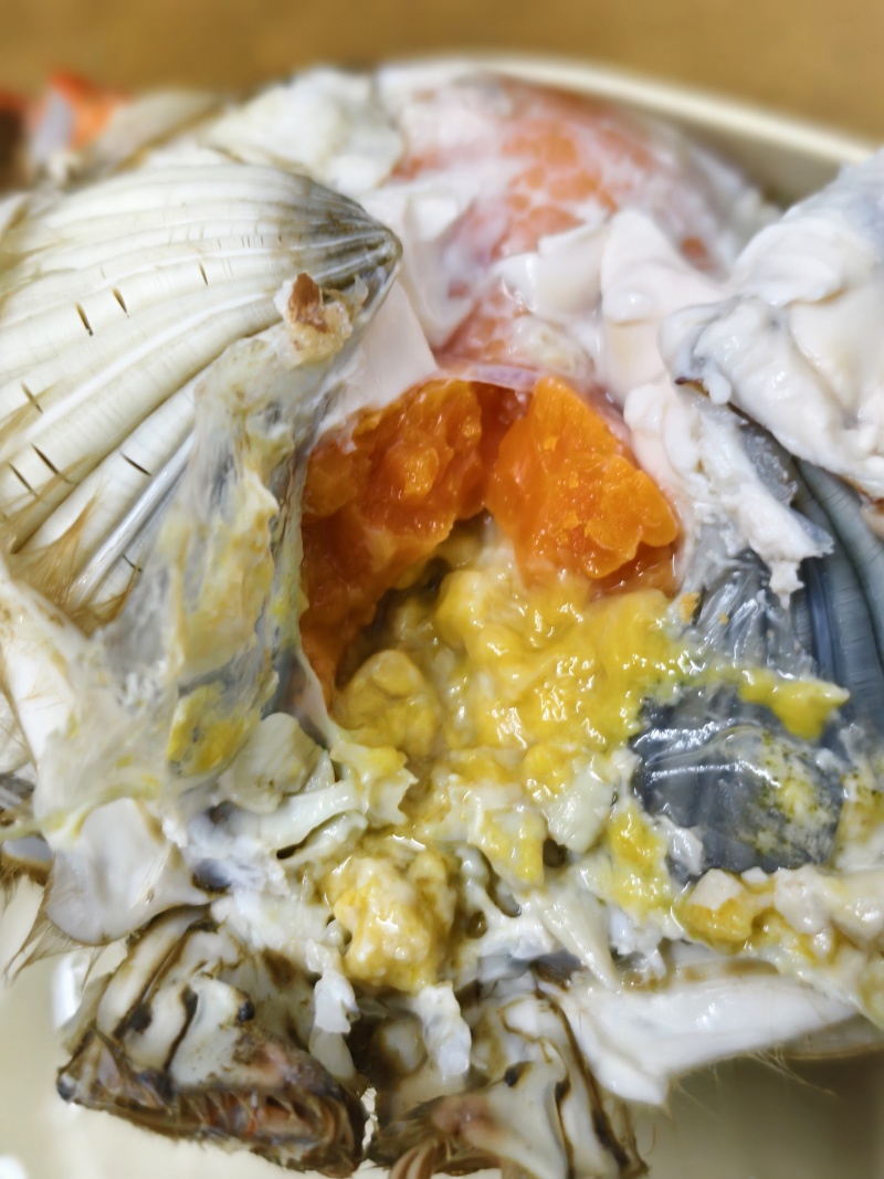 江苏精品青蟹