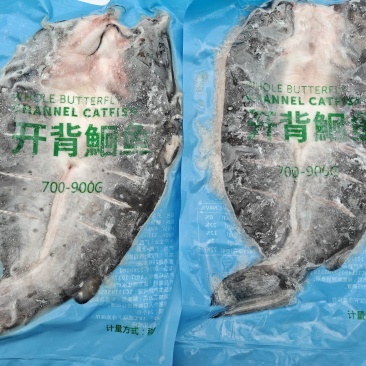 清江鱼