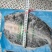 清江鱼