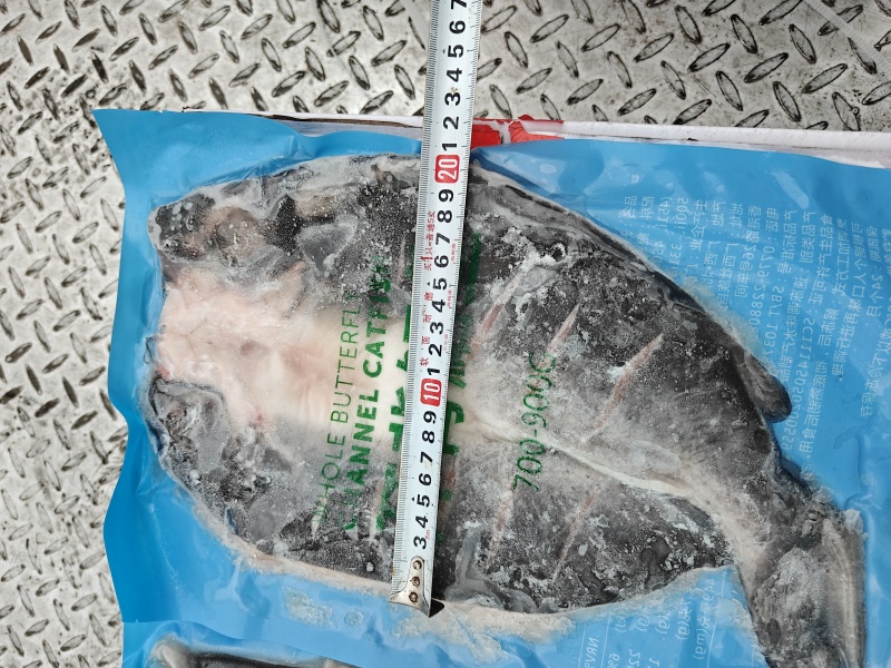 清江鱼