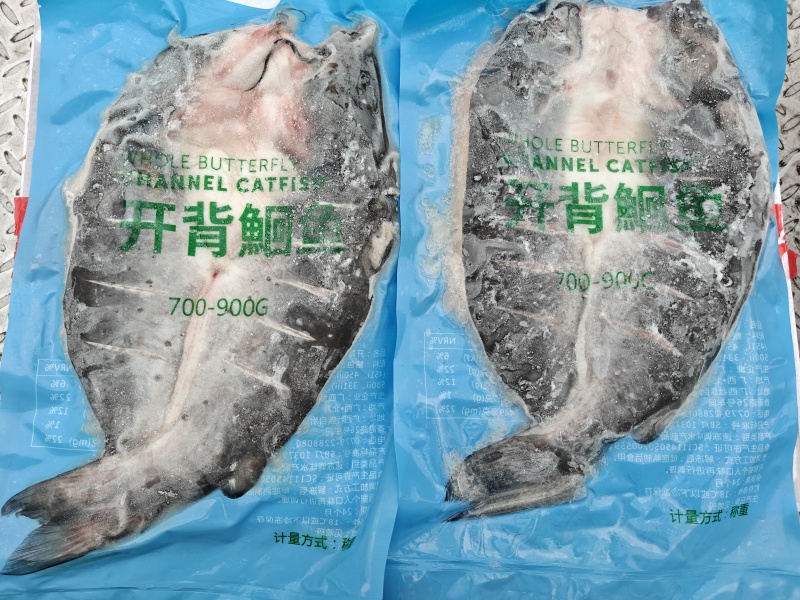 清江鱼