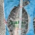 清江鱼