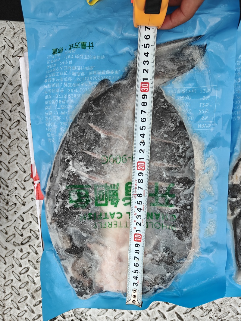 清江鱼