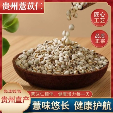 贵州精品薏苡仁